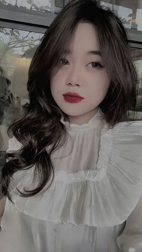美女与野兽动画片免费观看中文版